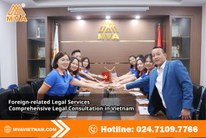 Foreign-related Legal Services | Comprehensive Legal Consultation in Vietnam