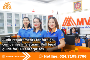 Audit requirements for foreign companies in Vietnam: Full legal guide for FDI enterprises