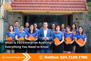 What Is FDI Enterprise Auditing? Everything You Need to Know