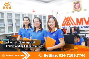 FDI businesses and what you need to know