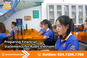 Preparing Financial Statements for Audit Vietnam