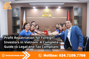 Post-Establishment Compliance for FDI Companies in Vietnam: Essential Requirements for Legal Operation