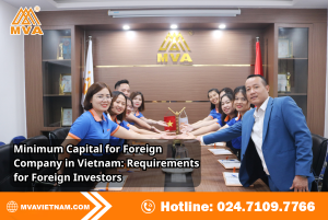 Minimum Capital for Foreign Company in Vietnam: Requirements for Foreign Investors