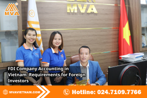 FDI Company Accounting in Vietnam: Requirements for Foreign Investors