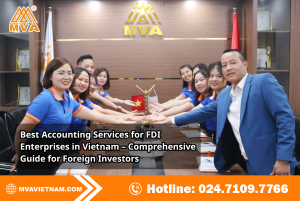 Best Accounting Services for FDI Enterprises in Vietnam – Comprehensive Guide for Foreign Investors