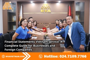 Financial Statements Vietnam Service: A Complete Guide for Businesses and Foreign Companies