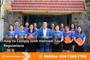 How to Comply with Vietnam Tax Regulations