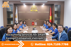 Accounting Services for Small Foreign Companies Vietnam