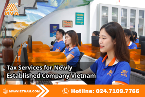 Tax Services for Newly Established Company Vietnam