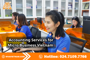 Accounting Services for Micro Business Vietnam