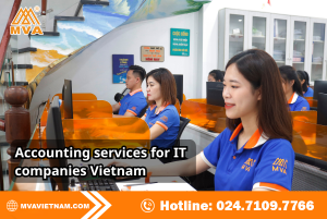 Accounting Services for IT Companies Vietnam