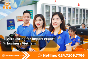 Accounting for import export business Vietnam