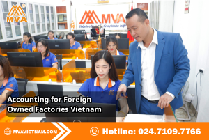 Accounting for Foreign Owned Factories Vietnam