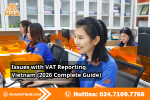 Issues with VAT Reporting Vietnam (2026 Complete Guide)
