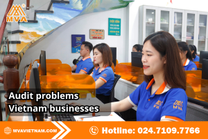 audit problems Vietnam businesses