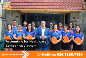 Accounting for Healthcare Companies Vietnam