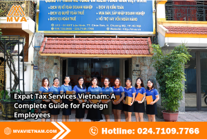 Expat Tax Services Vietnam: A Complete Guide for Foreign Employees