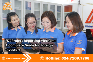 FDI Project Reporting Vietnam: A Complete Guide for Foreign Investors