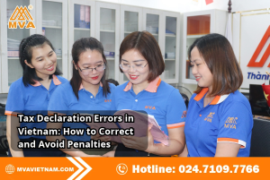 Tax Declaration Errors in Vietnam