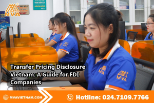 Transfer Pricing Disclosure Vietnam: A Guide for FDI Companies
