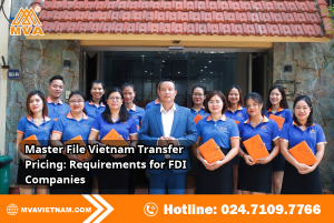 Master File Vietnam Transfer Pricing: Requirements for FDI Companies